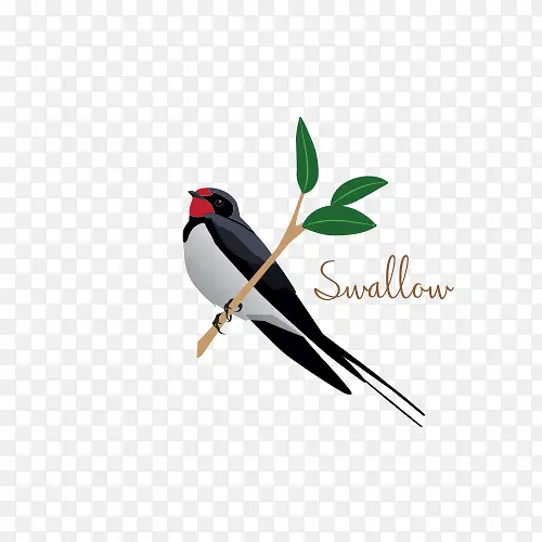 ��֦�ϵ����Ӽ�ͼ-������