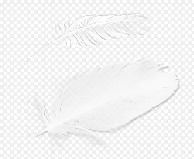 ��ë�ز�ͼƬ-������