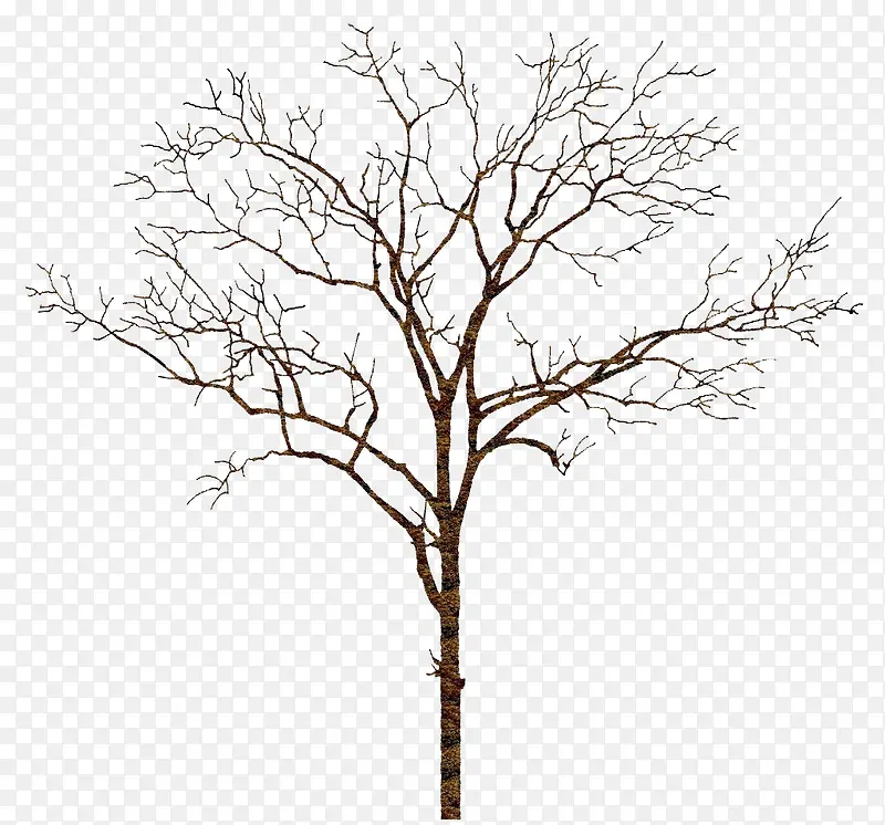 �����ή����-������