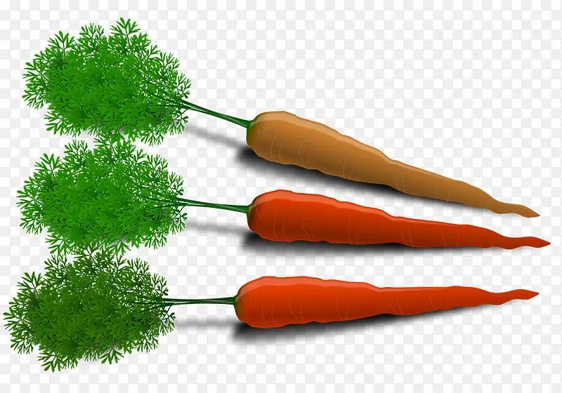 ���ܲ��ֻ��ز�-������