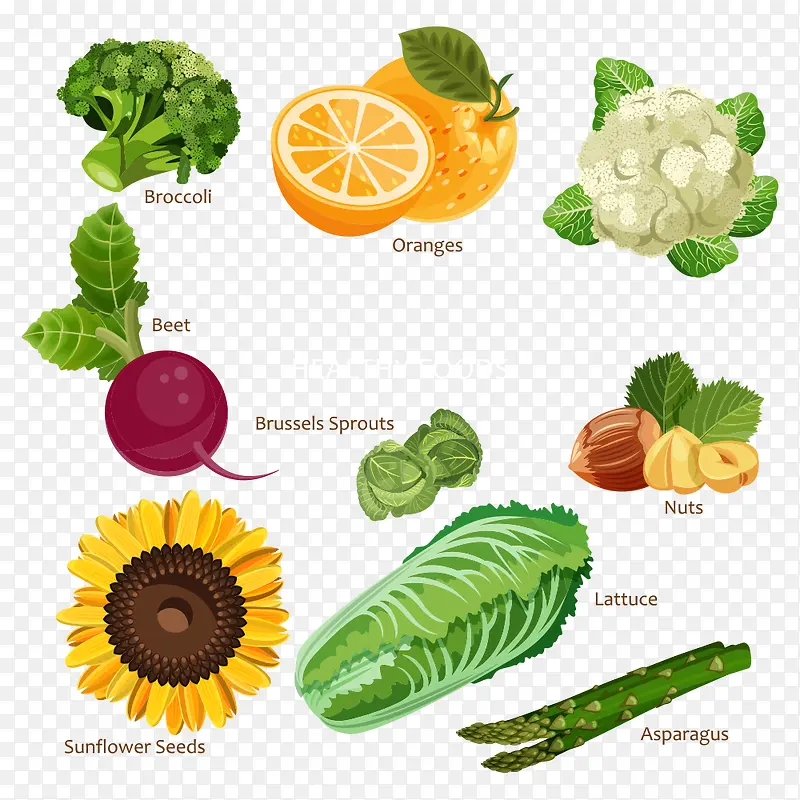 �߲˴�ȫ-������