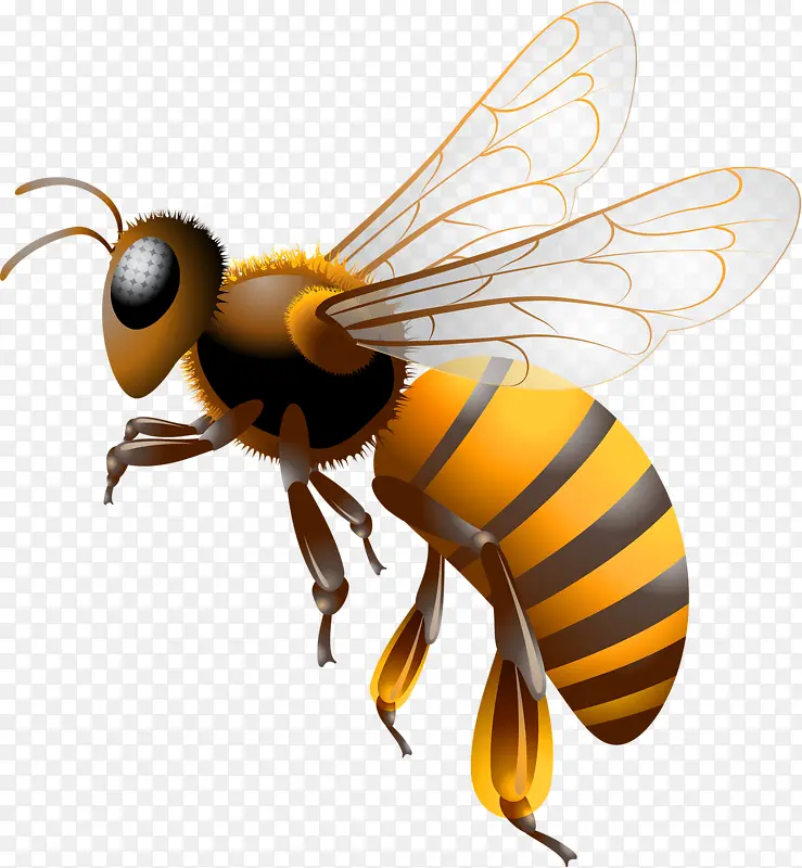 �ֻ�Ʒ�-������