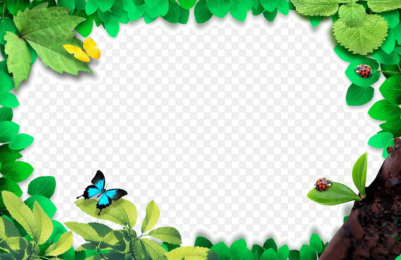 ����  ��ɫ �߿�  ����-������