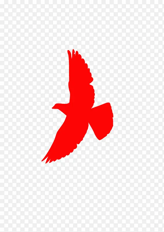 ��ֽ ���� ��-������