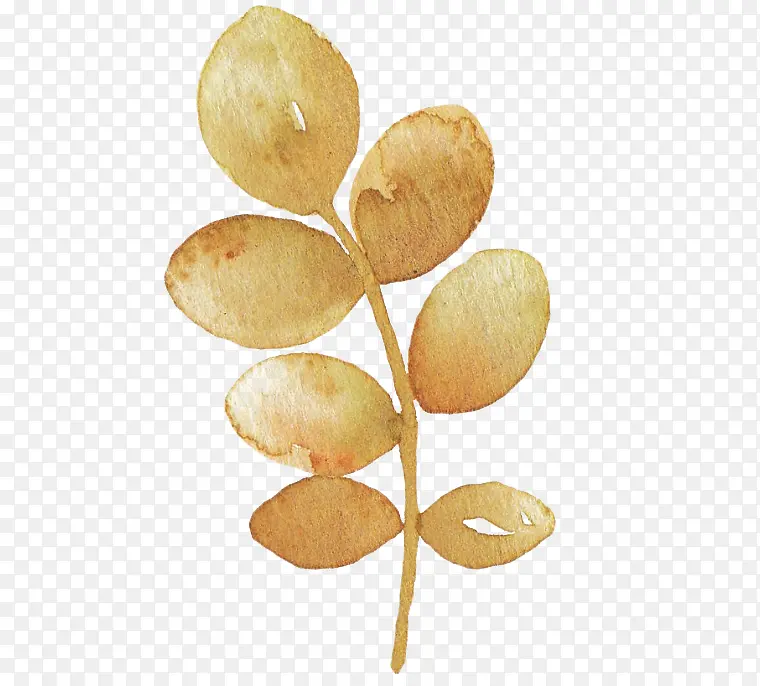 �ֻ�ˮ�ʻ�����Ҷ-������