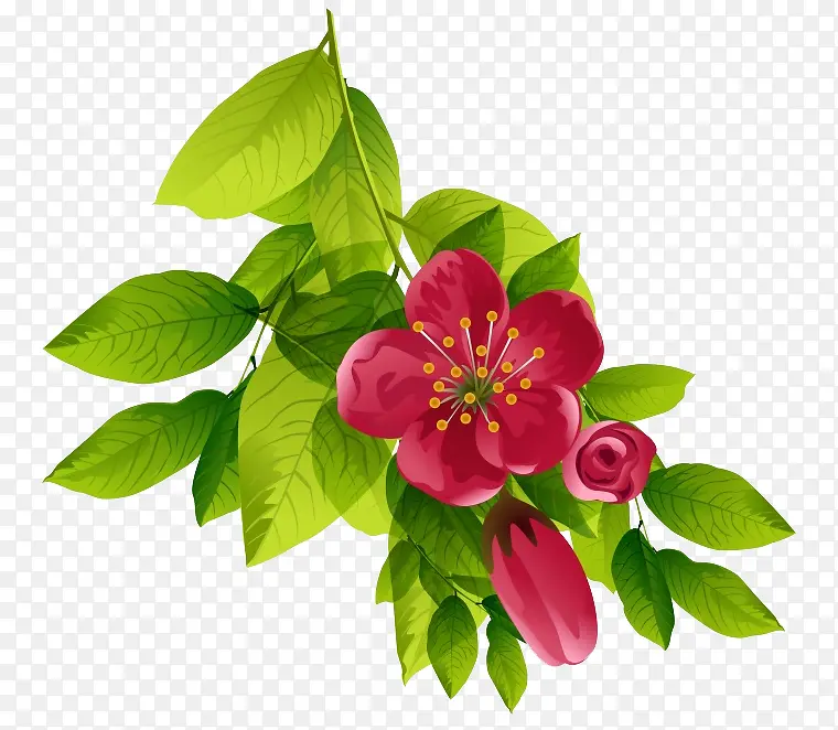 �ֻ�ˮ�ʻ�С�컨-������