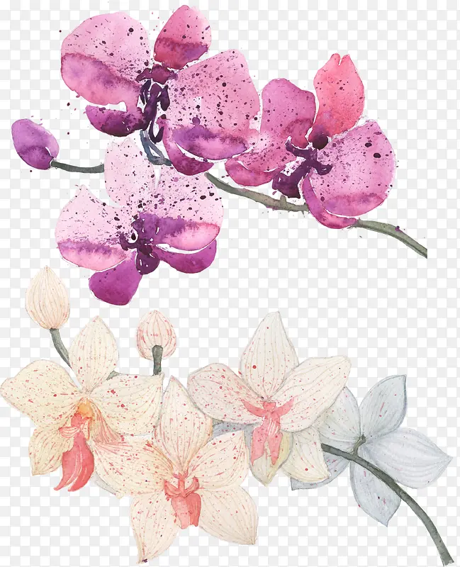 �ֻ�ˮ�ʻ�ޢ��-������