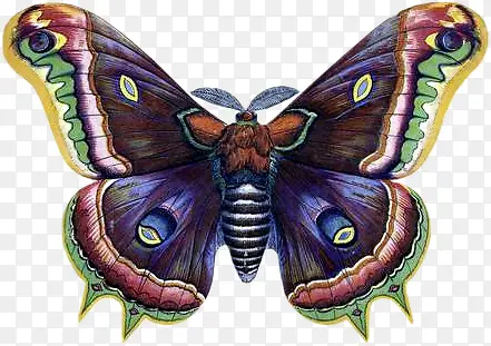 չ��ĺ���-������