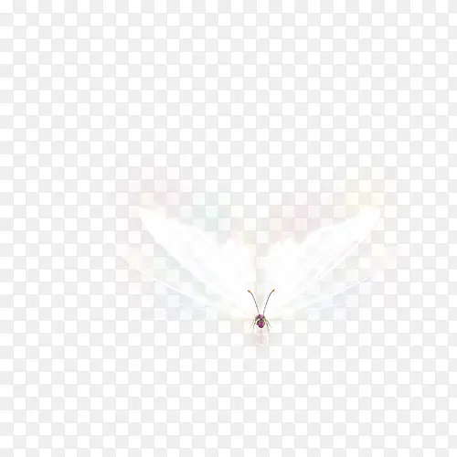 �Ź�-������