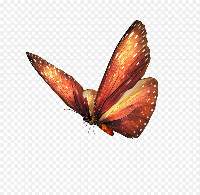 ����Ԫ��-������