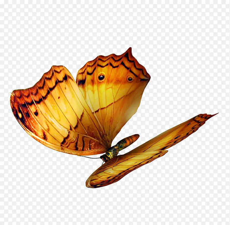 ����Ԫ��-������