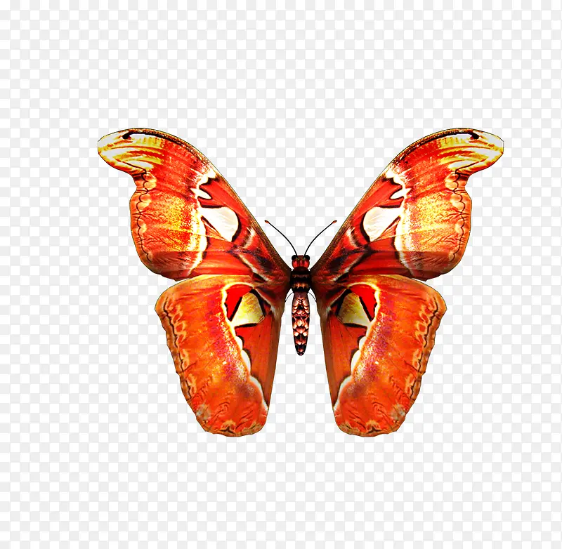 ����Ԫ��-������