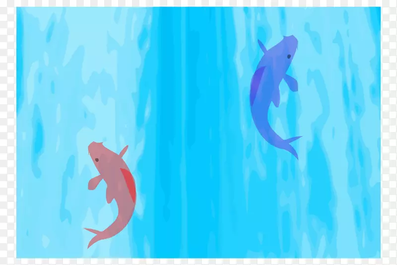 �ٲ��������ʵ�-������