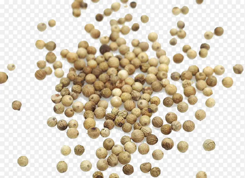 �׺�����װ���ز�-������