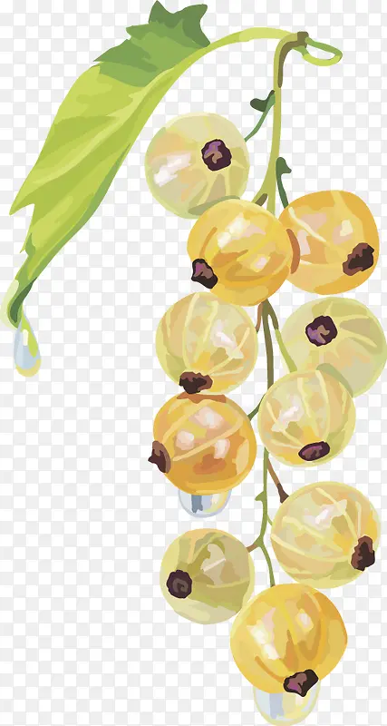 ˮ��ʸ��ͼ������-������