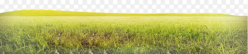 ��ɫ����-������