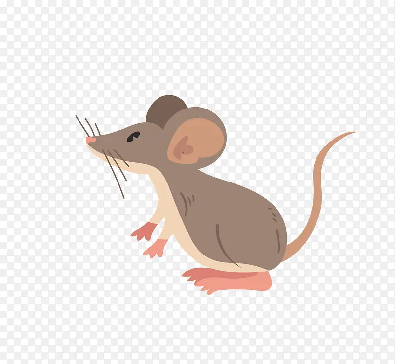 ��ͨ�ɰ�С����װ�ζ���ͷ��-������