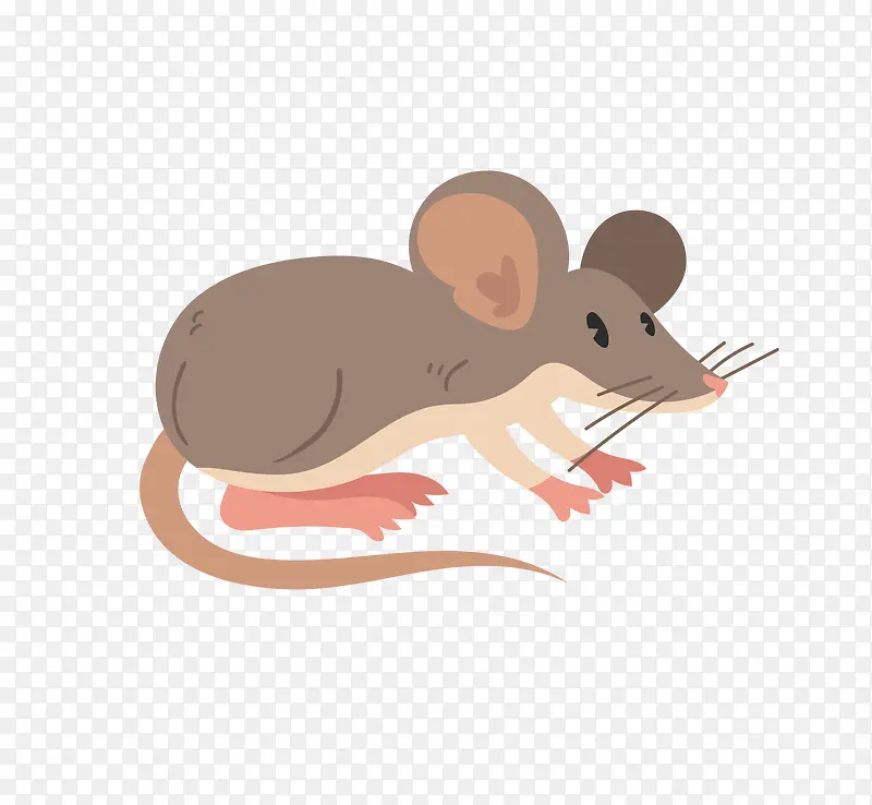 ��ͨ�ɰ�С����װ�ζ���ͷ��-������