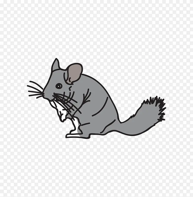 ��ͨ�ɰ�С����װ�ζ���ͷ��-������