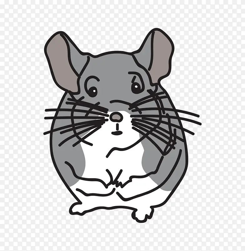 ��ͨ�ɰ�С����װ�ζ���ͷ��-������