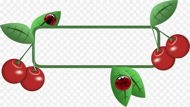 ��ͨ�ֻ��ɫӣ��ˮ���߿�-������