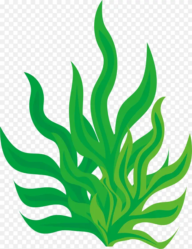 ��ɫ����Ť������-������