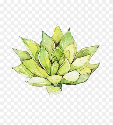 ���ⱦ��ͼƬ�ز�-������