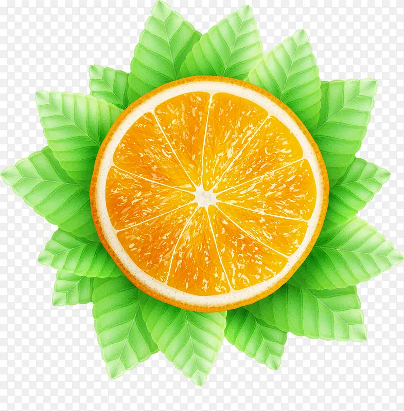 ˮ������ʸ��ͼ-������