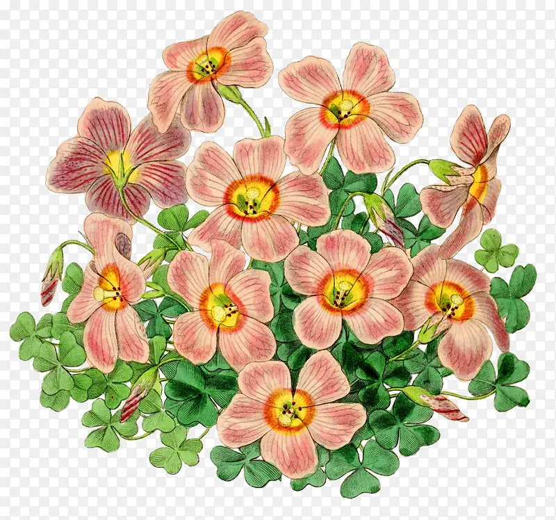 �ֻ�������-������