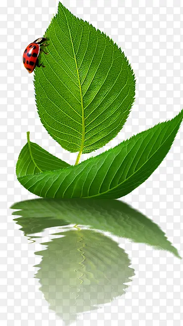 ����-������