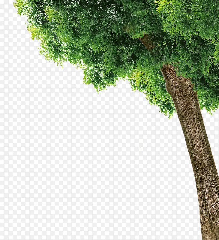 ��-������