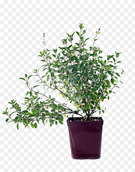 ��β���������-������