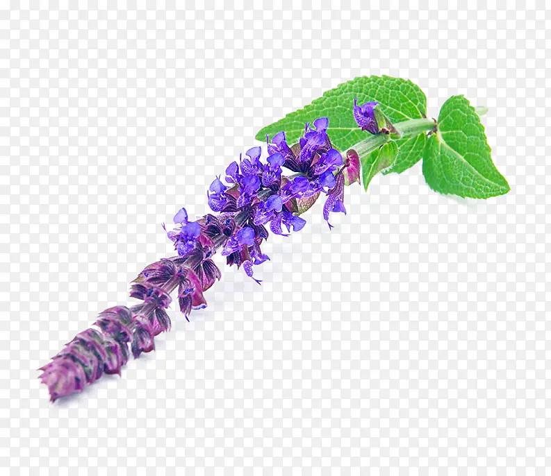 ��β���������-������