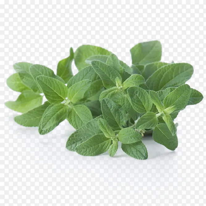 ��β���������-������