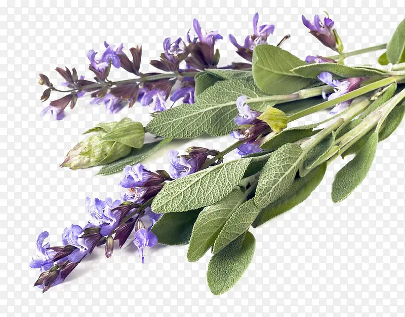 ��β���������-������