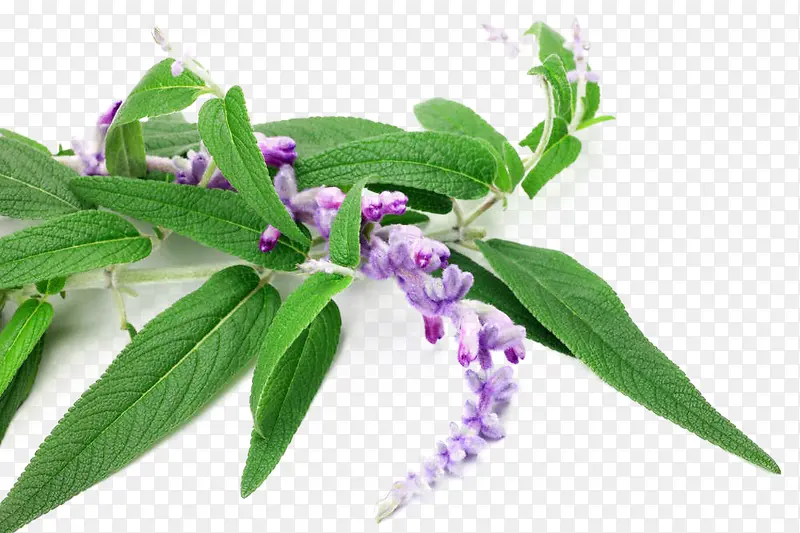 ��β���������-������