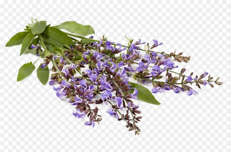 ��β���������-������