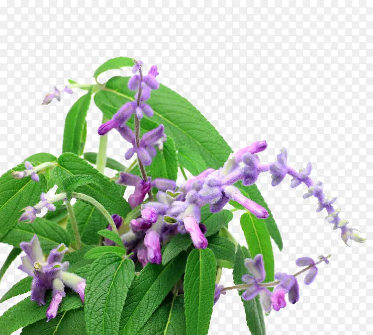 ��β���������-������