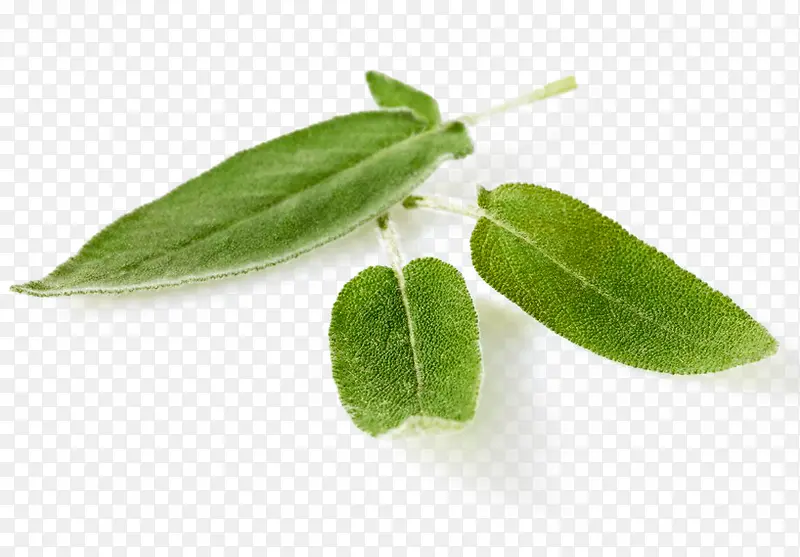 ��β���������-������