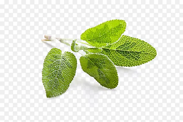 ��β���������-������