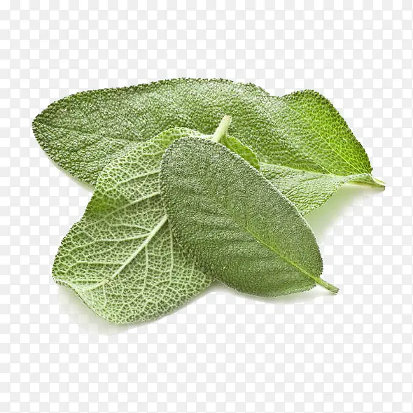 ��β���������-������