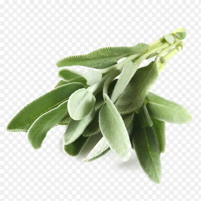 ��β���������-������