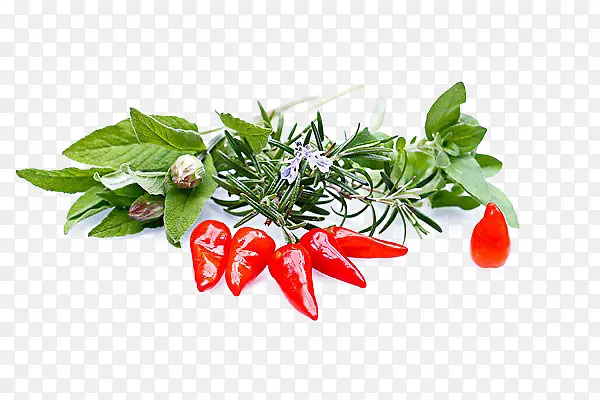 ��β���������-������