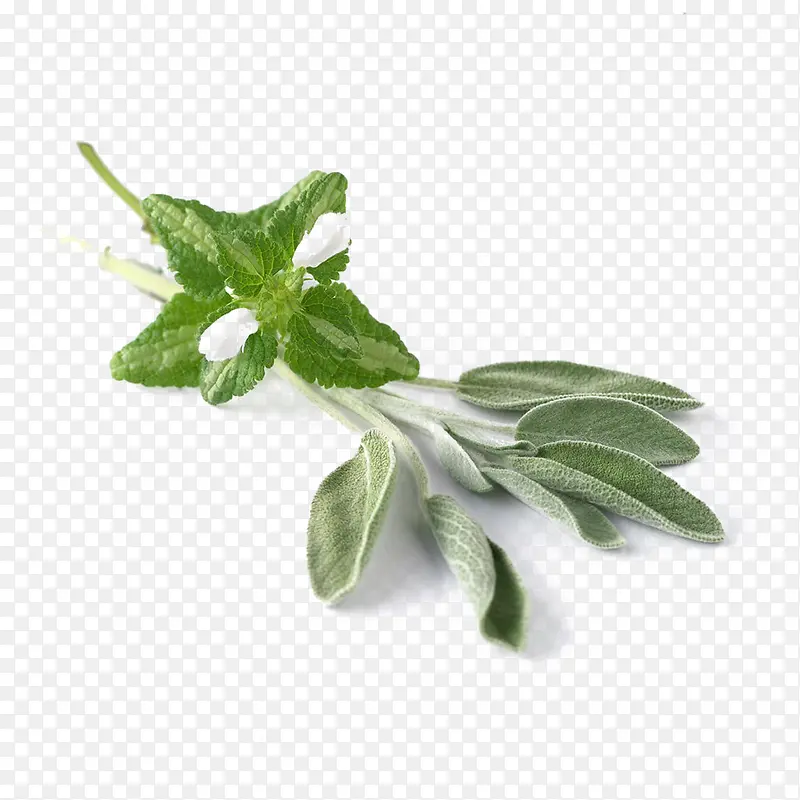 ��β���������-������