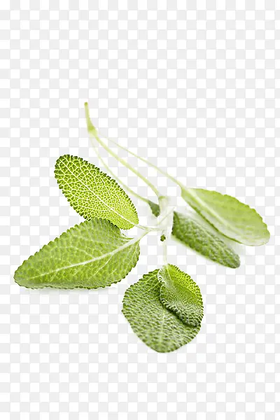 ��β���������-������