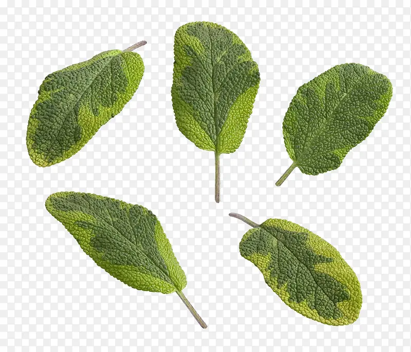 ��β���������-������