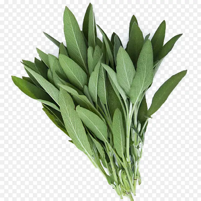 ��β���ز�-������