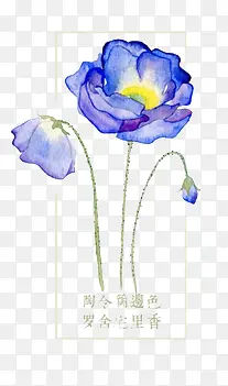 ������-������