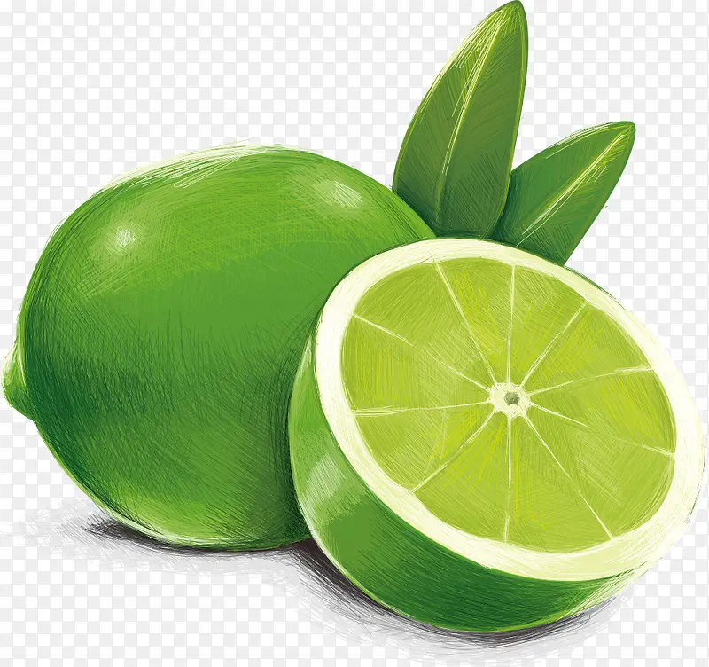 ʸ����ɫ����-������