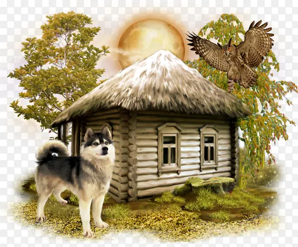 �ֻ�ݷ���-������